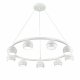 Подвесная люстра Lumion Luazana 8254/9