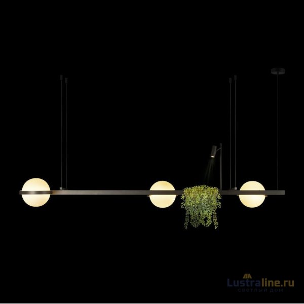 Подвесная люстра Loft IT Jardin 10121/C Dark grey