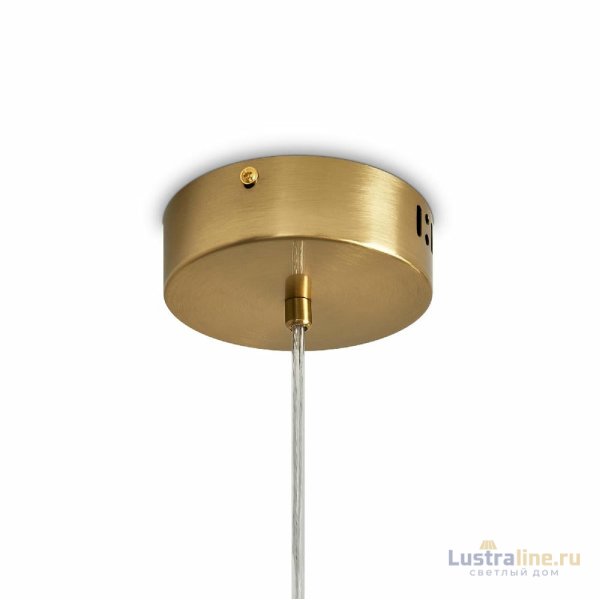 Подвесная люстра Freya Amela FR6138PL-L21BS