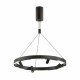 Подвесная люстра Odeon Light Beveren 6683/77L