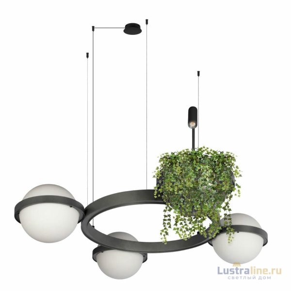 Подвесная люстра Loft IT Jardin 10121/3 Dark grey