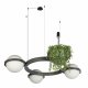 Подвесная люстра Loft IT Jardin 10121/3 Dark grey