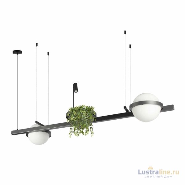Подвесная люстра Loft IT Jardin 10121/D Dark grey