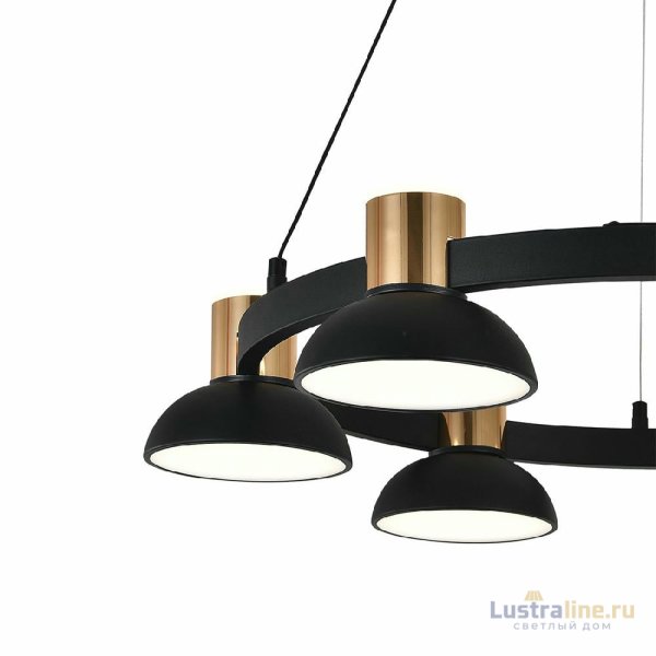 Подвесная люстра Indigo Traforo 11059/6P Black V000182L