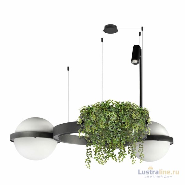 Подвесная люстра Loft IT Jardin 10121/2 Dark grey