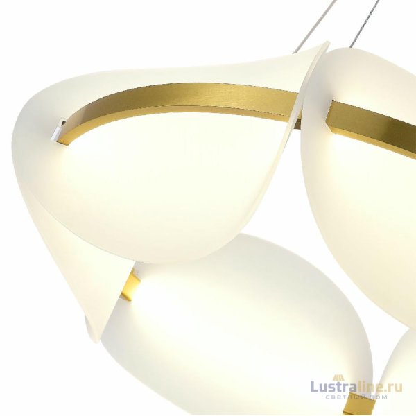 Подвесная люстра ST Luce Etoile SL1304.203.45
