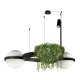 Подвесная люстра Loft IT Jardin 10121/2