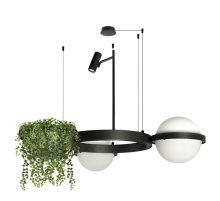 Подвесная люстра Loft IT Jardin 10121/2