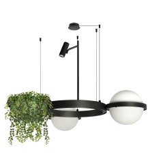 Подвесная люстра Loft IT Jardin 10121/2