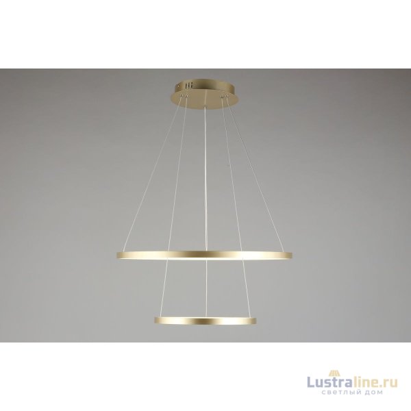 Подвесная люстра Aployt Lunet APL.014.03.60