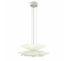 Подвесная люстра Lightera Chad LE116L-60W