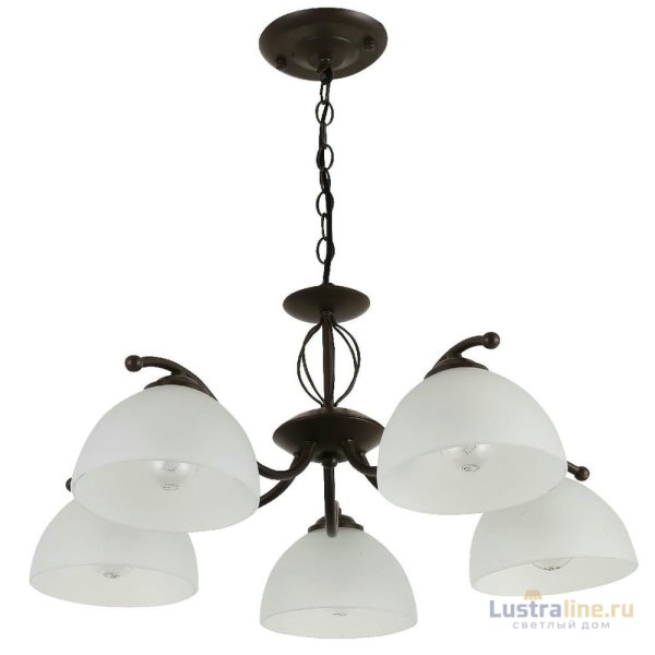 Подвесная люстра Rivoli Jackeline 9141-305 Б0054758