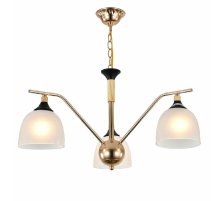 Подвесная люстра Escada Actinidia 2123/3P