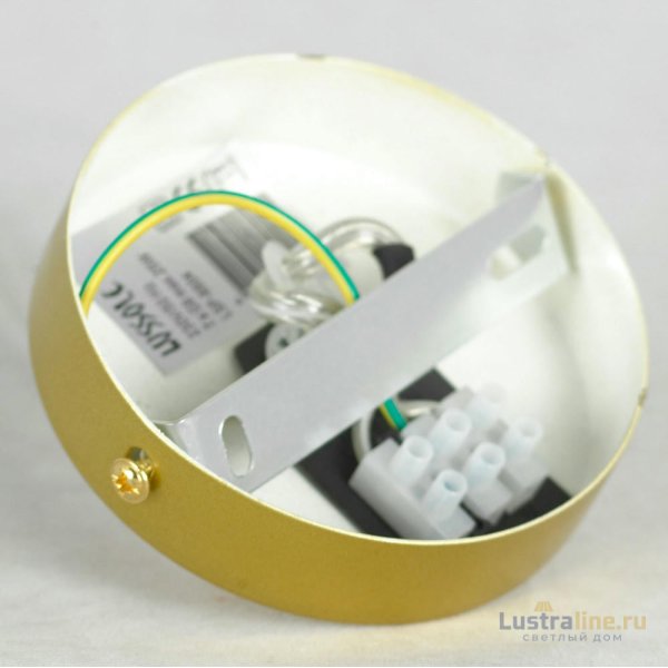 Подвесная люстра Lussole Loft Downey LSP-8804