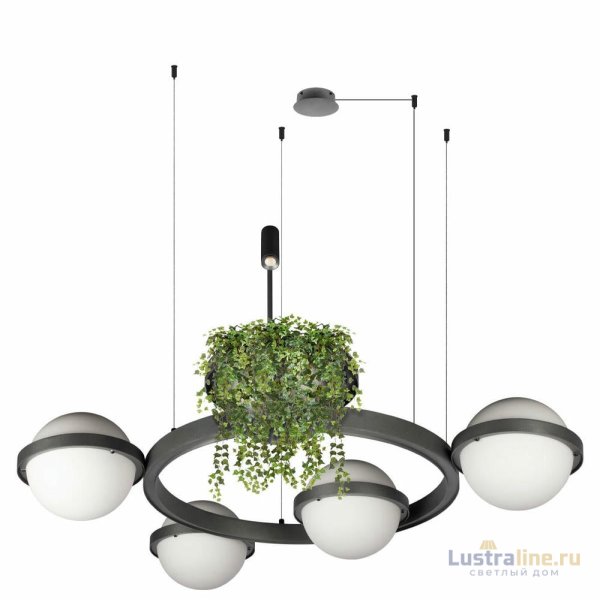 Подвесная люстра Loft IT Jardin 10121/4 Dark grey