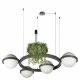 Подвесная люстра Loft IT Jardin 10121/4 Dark grey