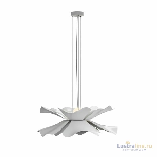 Подвесная люстра Lightera Chad LE116L-40W
