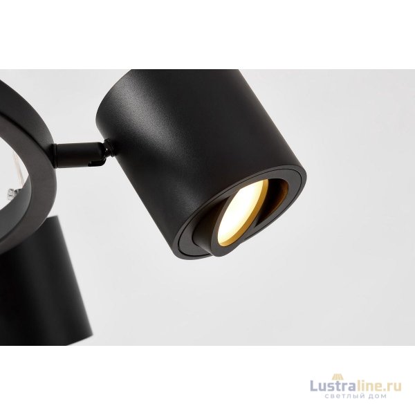 Подвесная люстра Lampit Nati TS P1999-6 BK
