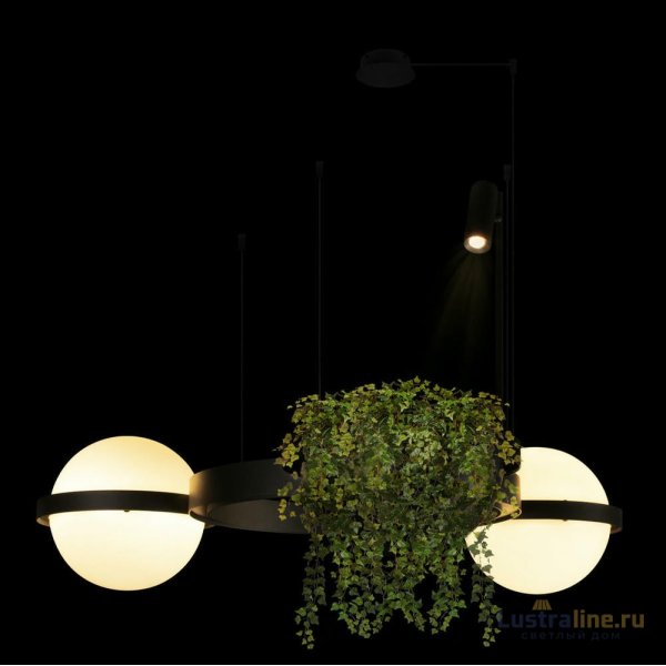 Подвесная люстра Loft IT Jardin 10121/2
