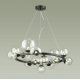 Подвесная люстра Odeon Light TOVI 4818/14