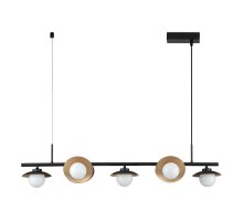 Подвесная люстра Indigo Corazza 10015/7P Black V000282