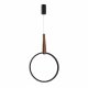 Подвесная люстра ST Luce Shape SL6131.403.20
