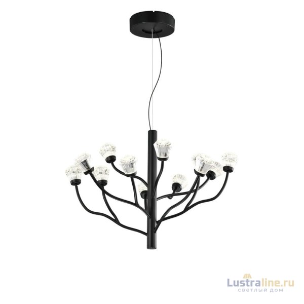 Подвесная люстра Delight Collection P0550-12A black