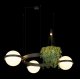 Подвесная люстра Loft IT Jardin 10121/3 Dark grey