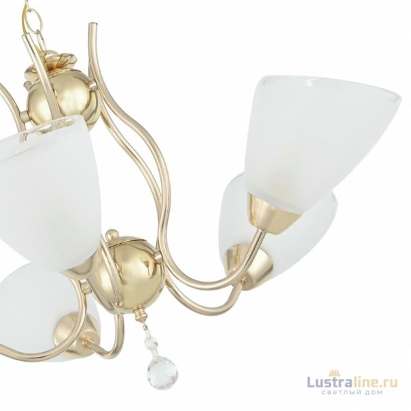 Подвесная люстра Arte Milano Amalfi 335816/5 FGD