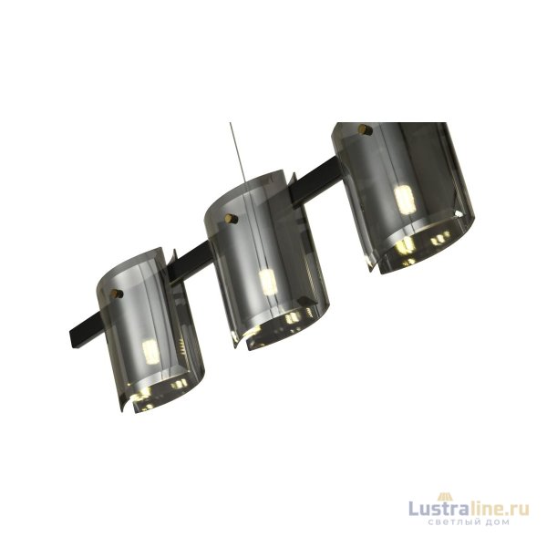 Подвесная люстра Zortes Rony ZRS.1209.01 Подвесная люстра Zortes Rony ZRS.1209.01