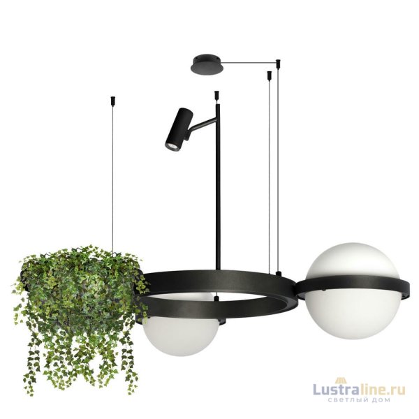 Подвесная люстра Loft IT Jardin 10121/2