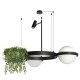 Подвесная люстра Loft IT Jardin 10121/2