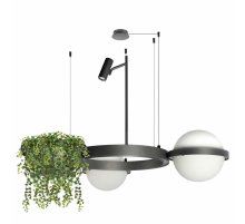 Подвесная люстра Loft IT Jardin 10121/2 Dark grey