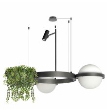 Подвесная люстра Loft IT Jardin 10121/2 Dark grey