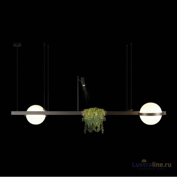 Подвесная люстра Loft IT Jardin 10121/D Dark grey