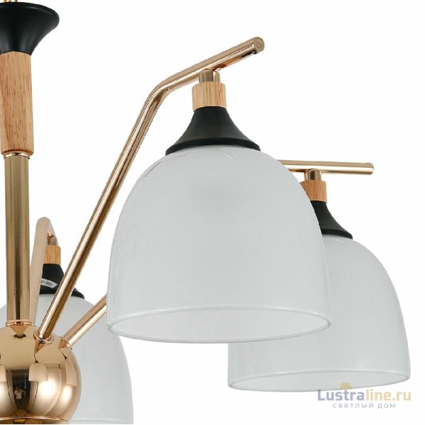 Подвесная люстра Escada Actinidia 2123/5P