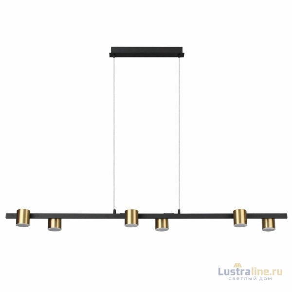 Подвесная люстра Lumion Flint 6532/40L