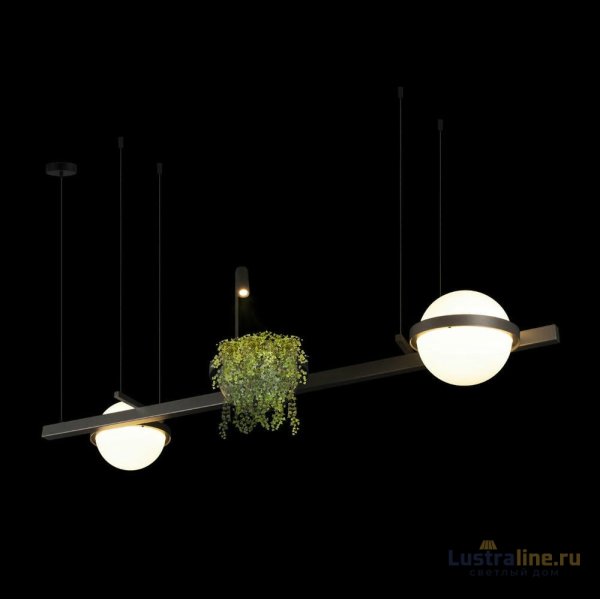 Подвесная люстра Loft IT Jardin 10121/D Dark grey