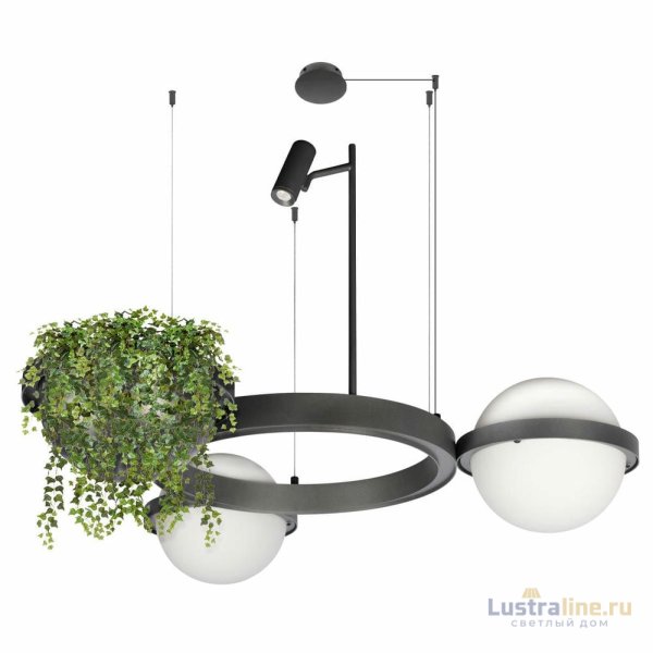Подвесная люстра Loft IT Jardin 10121/2 Dark grey