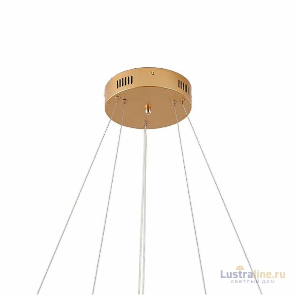 Подвесная люстра Zortes Ringolight ZRS.33320.63C