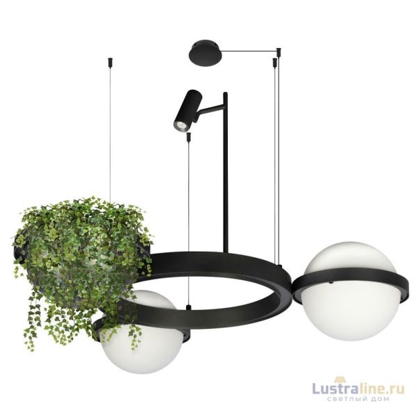 Подвесная люстра Loft IT Jardin 10121/2