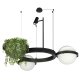 Подвесная люстра Loft IT Jardin 10121/2