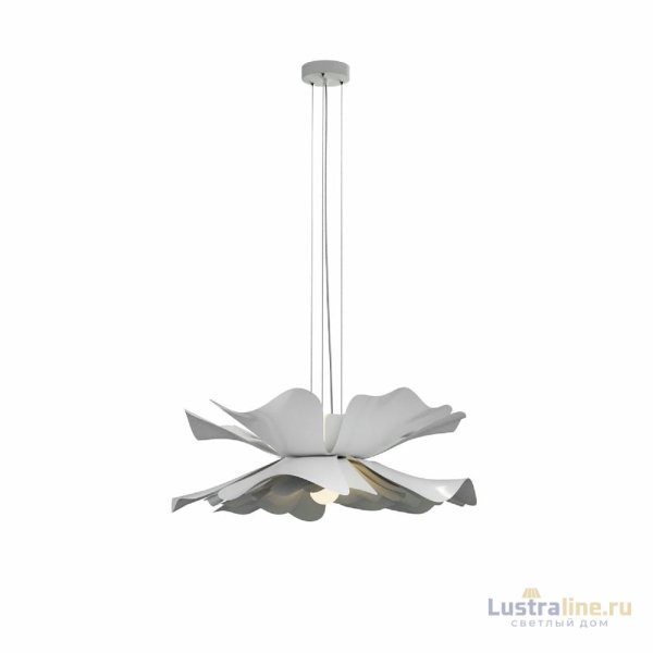 Подвесная люстра Lightera Chad LE116L-40W