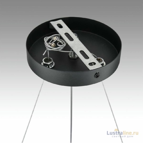 Подвесная люстра Lumion Luazana 8242/6 Подвесная люстра Lumion Luazana 8242/6