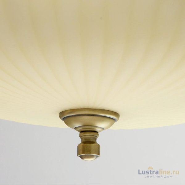 Подвесная люстра MW-Light Афродита 317010708 Подвесная люстра MW-Light Афродита 317010708