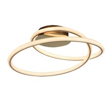 Накладная люстра Lussole Loft Ingersoll LSP-8346