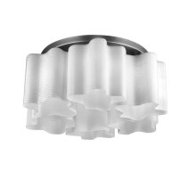 Потолочная люстра ST Luce Onde SL117.502.06