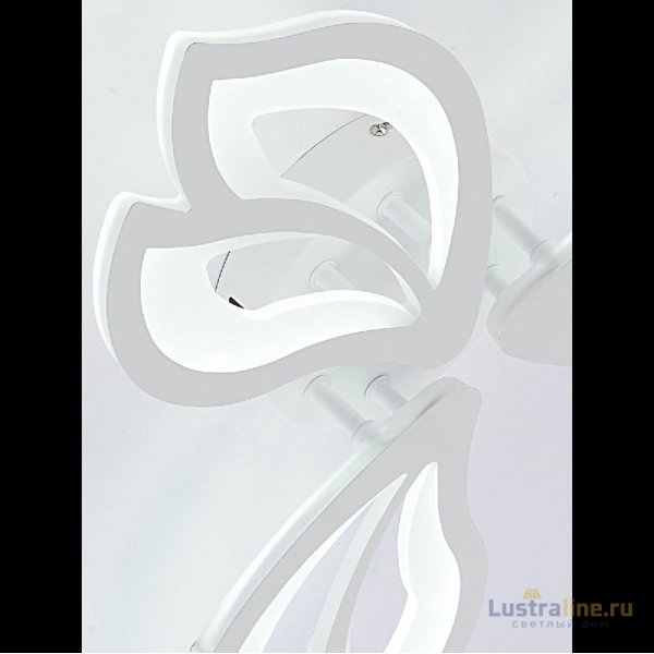 Потолочная люстра Natali Kovaltseva Fortuna LED LAMPS 81107/2C Потолочная люстра Natali Kovaltseva Fortuna LED LAMPS 81107/2C