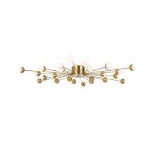 Потолочная люстра Freya Celebrity FR5242CL-24BS