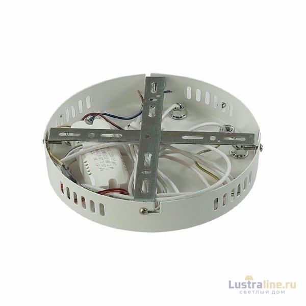 Потолочная люстра Lumion Alberta 8029/60CL